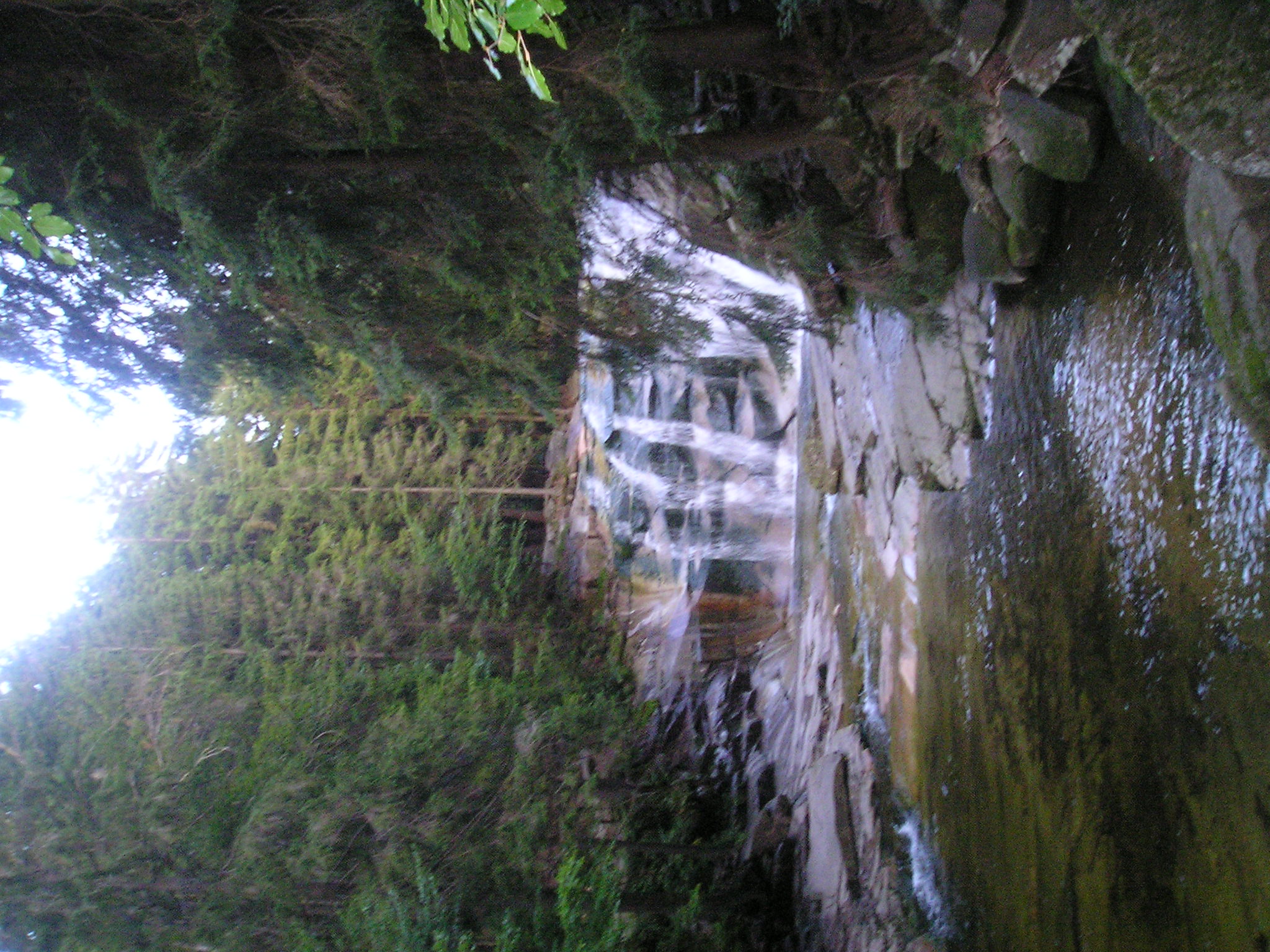 P1010271.JPG